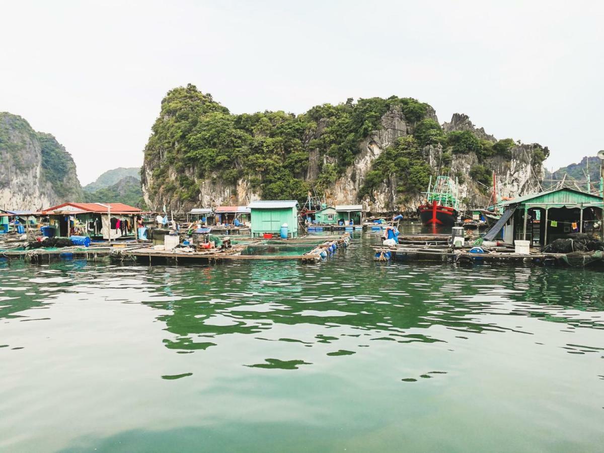 Heritage Line Ylang Cruise - Halong Bay & Lan Ha Bay Халонг Экстерьер фото