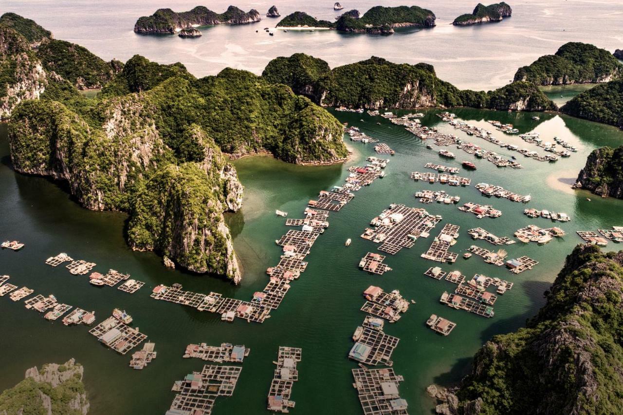 Heritage Line Ylang Cruise - Halong Bay & Lan Ha Bay Халонг Экстерьер фото